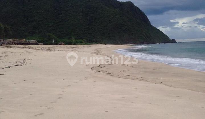 For Sale 4.4 Hectares of Land at Wane Beach, Bima, NTB