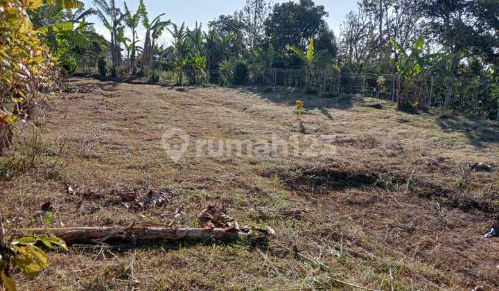 For Sale Cheap SHM Land 760 M2 In Wanagiri Buleleng Bali