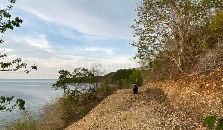 Dijual Tanah Shm Lt 2,8 Ha View Laut Di Rangko Labuan Bajo