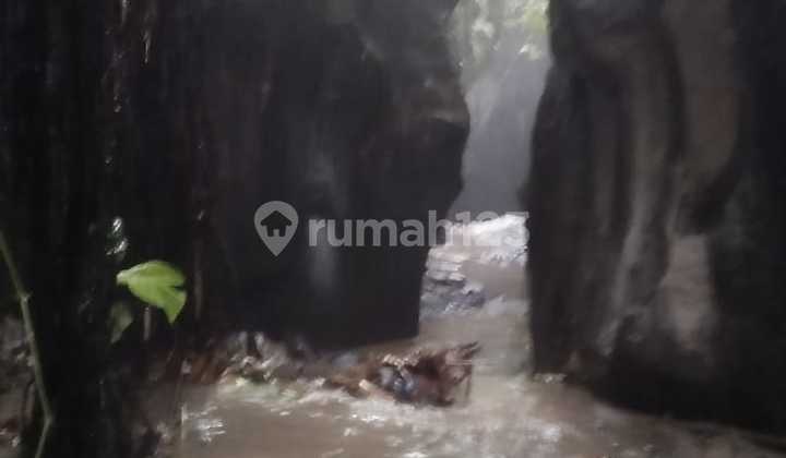 Cheap Sale 2.4 Ha Riverside Land in Payangan Gianyar Near Central Ubud Bali Cheap Sale 2.4 Ha Riverside Land in Payangan Gianyar Near Central Ubud Bali