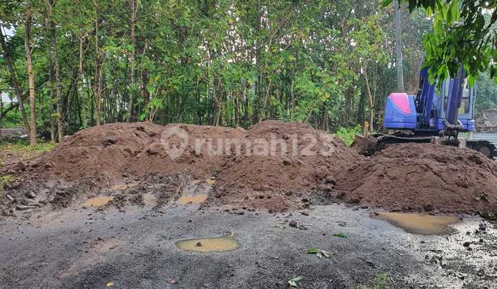 Land For Lease 25 Years 3 Are In Tourist Area Near Seseh Beach Munggu Canggu Bali