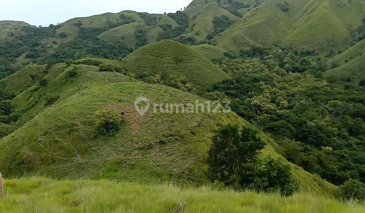Dijual Tanah Shm Labuan Bajo Lt 7.986 M2 Jarang Ada View Laut Dan Lembah 2