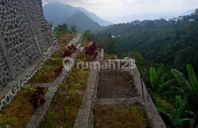 Tanah 6,5 Hektar Pinggir Jalan Bedugul - Super Murah! Investasi Pariwisata Tanah 6,5 Hektar Pinggir Jalan Bedugul - Super Murah! Investasi Pariwisata