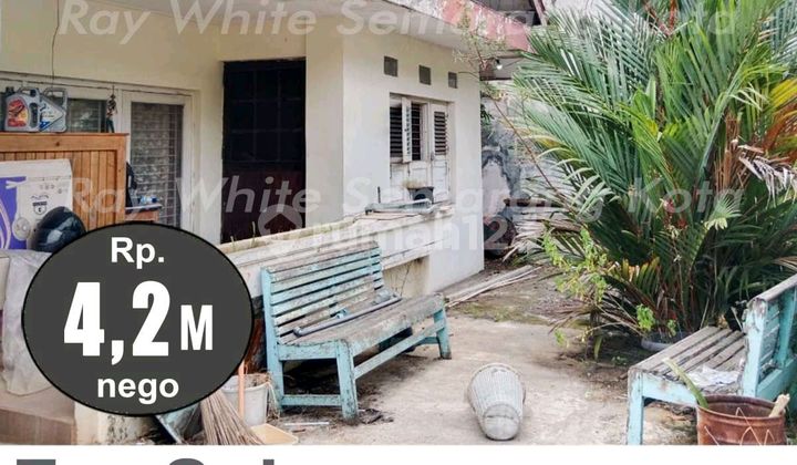 House for Sale on Strategic Roadside Near Hospital 1