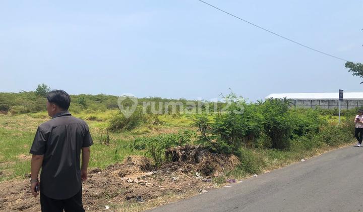 Dijual Tanah Pinggir Jalan Pantura Dijual Tanah Pinggir Jalan Pantura