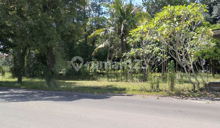 Dijual Tanah Luas 5143 M Cocok Untuk Perumahan Dan Gudang Di Mlati (bisa Dibeli 1 Shm)