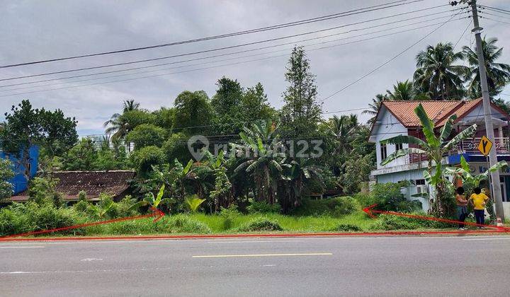 Tanah di Jl. Nasional (jogja purworejo) dekat Bandara YIA cocok untuk usaha 1