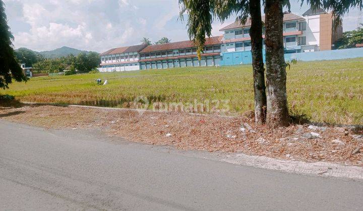 Dijual Tanah Luas Dekat Gerbang Bandara Nyia Cocok Untuk Usaha Dan Gudang 2