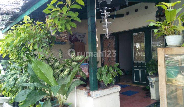 Dijual Tanah Bonus Rumah Klasik Dalam Beteng Kraton Cocok Untuk Homestay 1