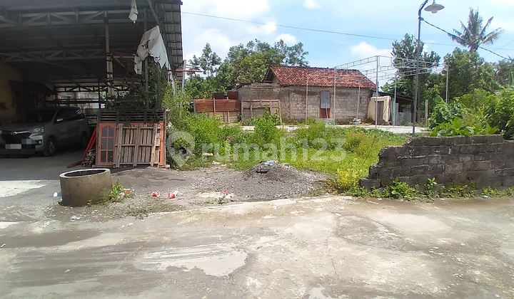 Land For Sale In Prambanan Klaten Suitable For Plots Land For Sale In Prambanan Klaten Suitable For Plots