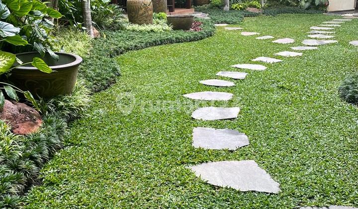 Cheapest House (Business) Well-Maintained Area in Nginden Surabaya Near Merr Tenggilis Rungkut 1