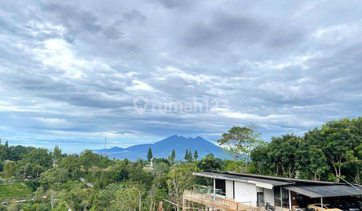foto lainnya tanah kavling di puncak bogor