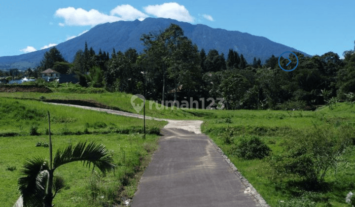 Di Jual Tanah Shm Cocok Untuk Villa Komersil Di Puncak Bogor 2