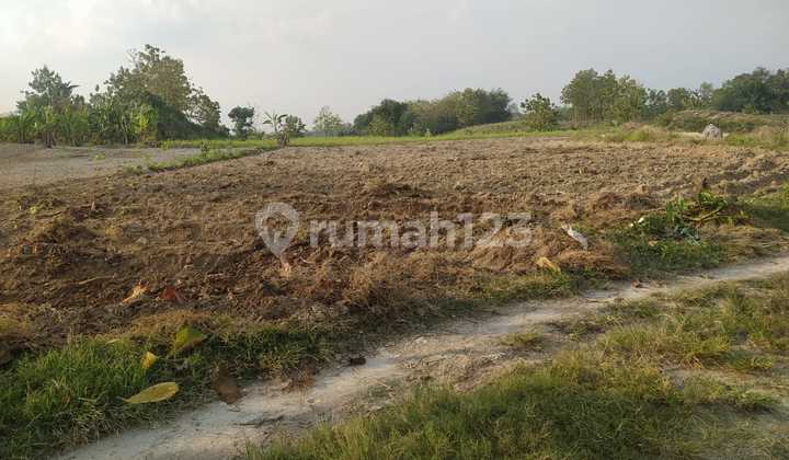 Tanah 50 Hektar zona Kuning Pemukiman sragen Jawa Tengah Depan Jalan Provinsi Tanah 50 Hektar zona Kuning Pemukiman sragen Jawa Tengah Depan Jalan Provinsi