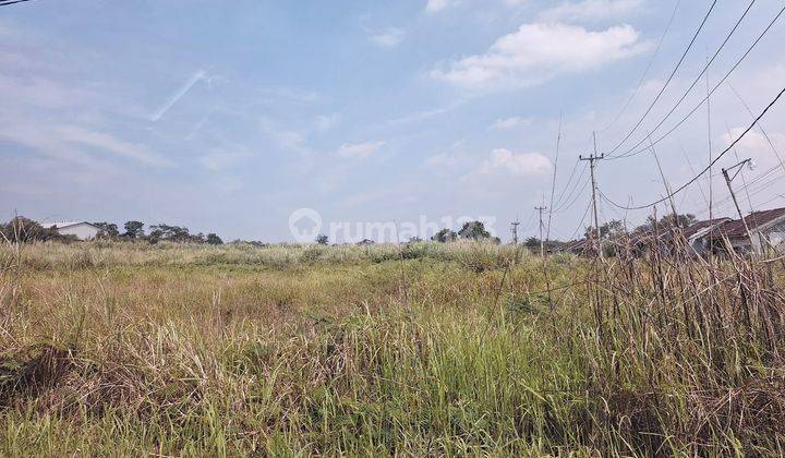 Tanah Murah Cileungsi Dapan Jalan Raya Jauh Dibawah NJOP 2