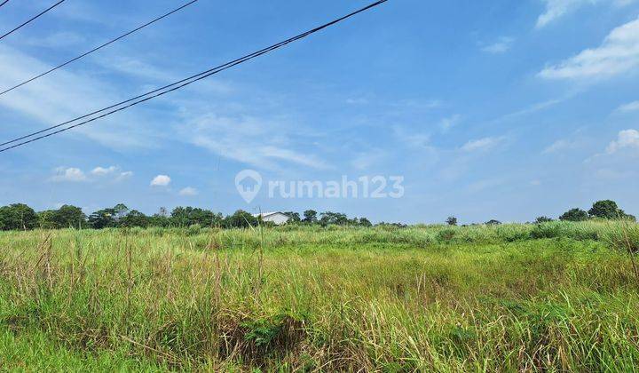 Tanah Murah Cileungsi Dapan Jalan Raya Jauh Dibawah NJOP 1