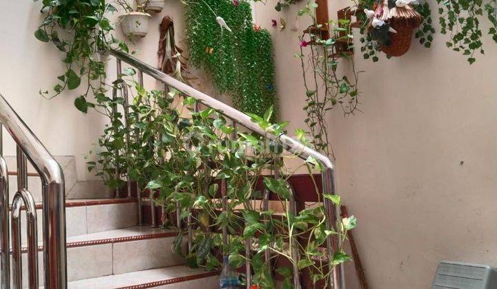 Rumah Lebar 8 di Taman Sari Jakarta Bara 1