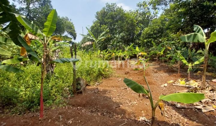 Siap Huni, SHM, Harga NJOP Cilangkap, Depok