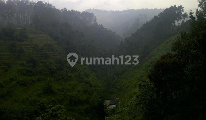 Turun Harga Tanah Lembang Luas 10Hektar Lebih Cocok untuk Resort Turun Harga Tanah Lembang Luas 10Hektar Lebih Cocok untuk Resort