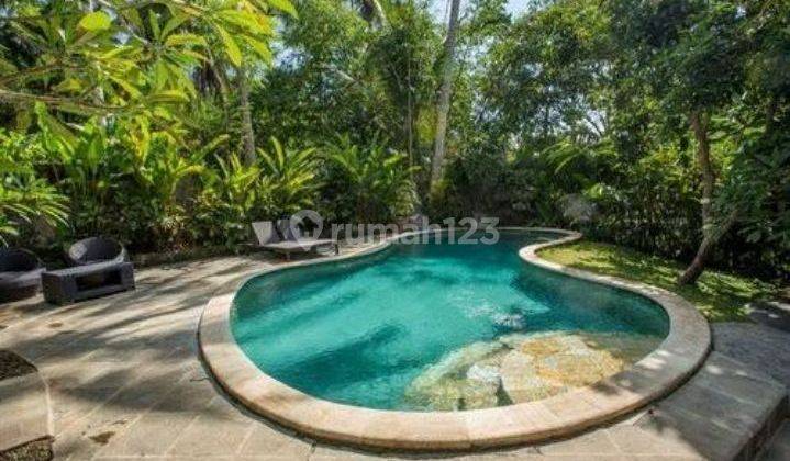 River view villa in Lodtunduh, Gianyar, Ubud, Bali 2