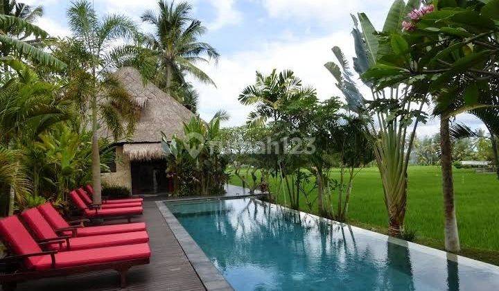 Boutique villa Complex for sale with gorgeous view of the rice fields in Lodtunduh ubud, bali 1