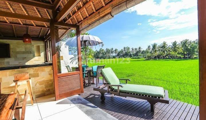 Boutique villa Complex for sale with gorgeous view of the rice fields in Lodtunduh ubud, bali 2