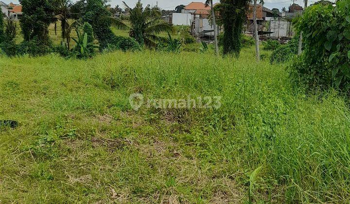 Land on Babakan Canggu street near El Passo shop and babadan beach, canggu, bali 2