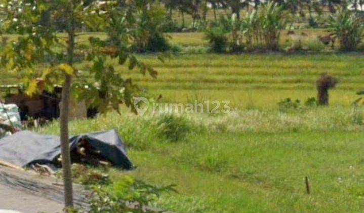 Tanah di jalan pantai nanyi dekat canggu, Beraban, Bali 1