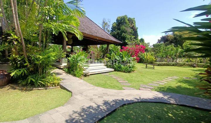 Beautiful Villa With Big Wonderful Garden in Sanur, Denpasar,  Bali 2