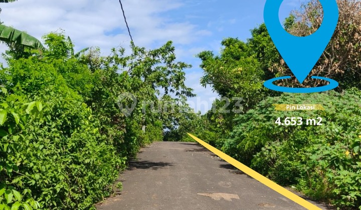 Dijual Tanah Sangat Langka Berlokasi di Jantung Kampus Unud, Jimbaran, Bali