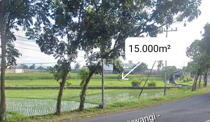 Dijual Tanah Premium Di Jalan Utama Banyuwangi - Jember, Jawa Timur, Indonesia.