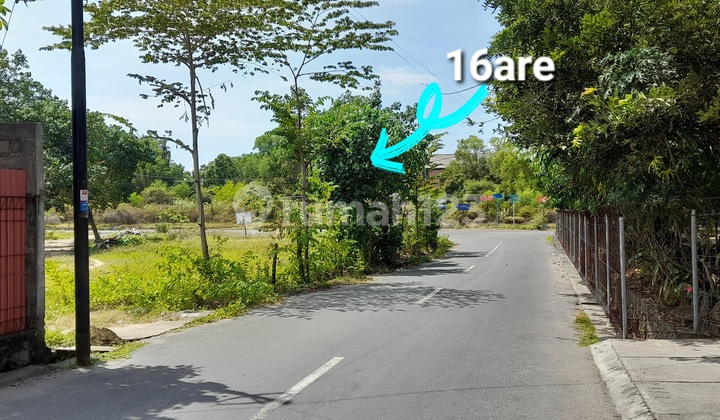 Dijual Tanah Premium Dan Langka Di Pulau Serangan, Denpasar Selatan, Bali (turtle Island). Dijual Tanah Premium Dan Langka Di Pulau Serangan, Denpasar Selatan, Bali (turtle Island).