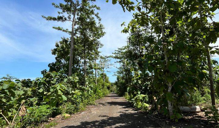 Disewakan Tanah Siap Bangun Di Balangan Jimbaran Bali 2