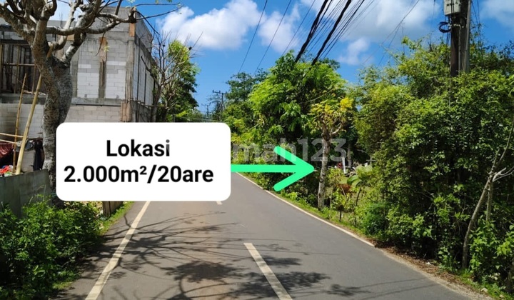 Dijual Tanah Strategis Di Jalan Utama Pantai Balangan Aspek Pariwisata, Jimbaran, Badung, Bali