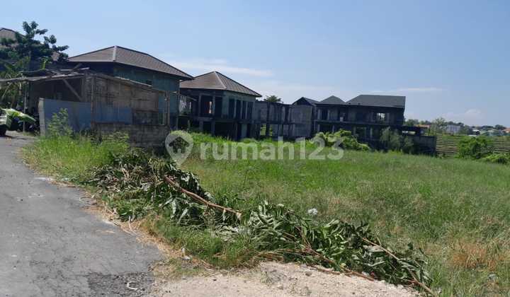 For Rent: Land with Full Rice Field View, Super Rare, Ready to Build on Jl. Pantai Berawa, Canggu, Bali For Rent: Land with Full Rice Field View, Super Rare, Ready to Build on Jl. Pantai Berawa, Canggu, Bali
