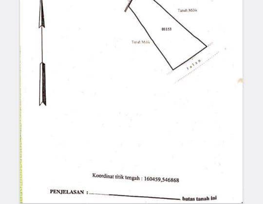 Dijual Tanah Pinggir Jalan Utama Tumbakbayuh, Canggu, Bali 2