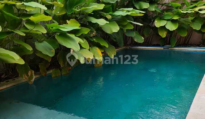 For Rent: 3 Bedroom Villa Ready to Occupy in Balangan, Jimbaran, Bali