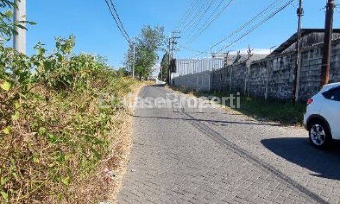 Dijual gudang Bambe driyorejo jalan Semeru gresik 3