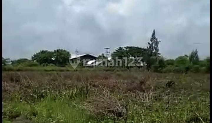 Land for Sale with SHM Certificate, Industrial Zone Tuban Area, Widang. Land for Sale with SHM Certificate, Industrial Zone Tuban Area, Widang.