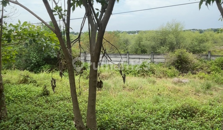 Dijual Tanah Kenjeran Dekat Pakuwon City Surabaya Timur