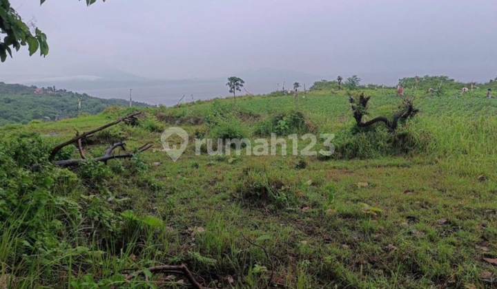 Dijual Tanah Nusa Penida Island Klungkung Bali Dijual Tanah Nusa Penida Island Klungkung Bali