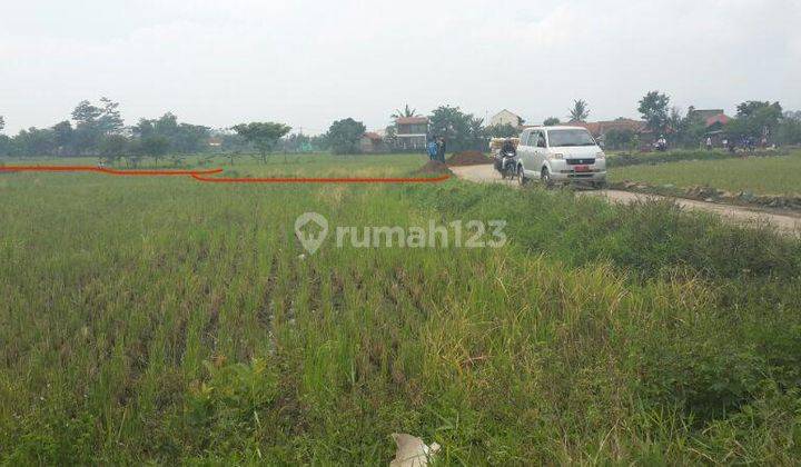 Jual Murah Tanah Sawah Strategis Di Sapan Bojongsoang Bandung 1