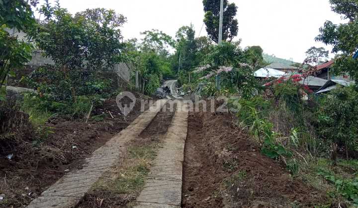 Tanah Bagus Dan Luas di Buleleng, Munduk ,bali 2