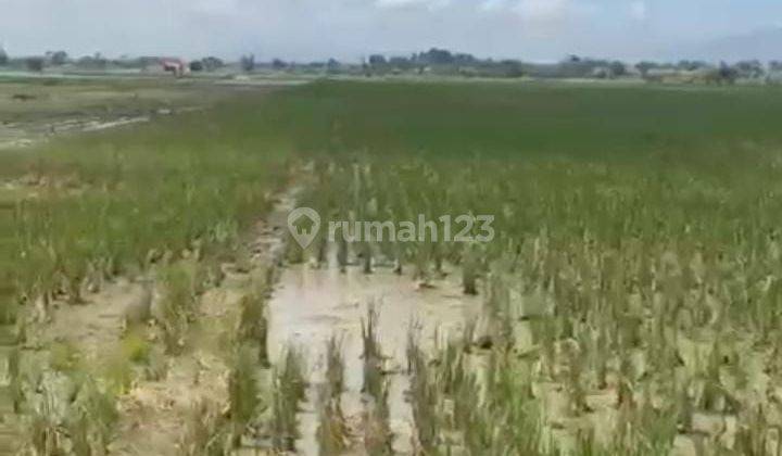 Tanah Murah Cocok Bangun Usaha di Dekat Tol Kertajati Majalaya 2