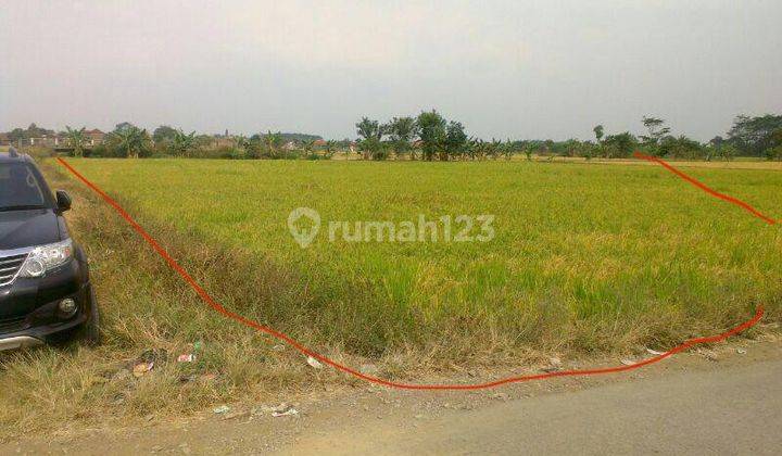 Jual Murah Tanah Sawah Strategis Di Sapan Bojongsoang Bandung 2