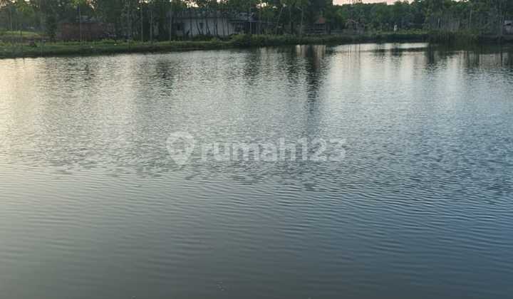 Tanah Tambak Masih Aktif Di Tegal Jawa Tengah Tanah Tambak Masih Aktif Di Tegal Jawa Tengah