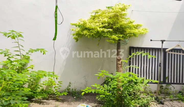 Beautiful House in Adara Cluster - Harapan Indah 2