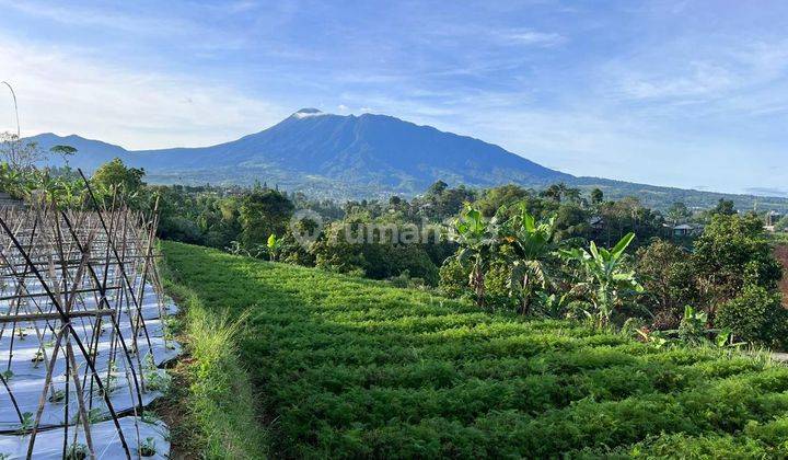 Dijual Tanah di Cisarua Puncak Bogor - Jawa Barat 600 m² SHM 2