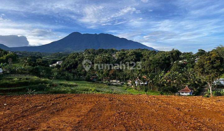 For Sale Tanah 2000m2 SHM di Cisarua Puncak Bogor Siap Bangun 1