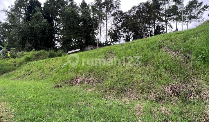 1500 Meter, Mountain View Siap Bangun Puncak Bogor 2